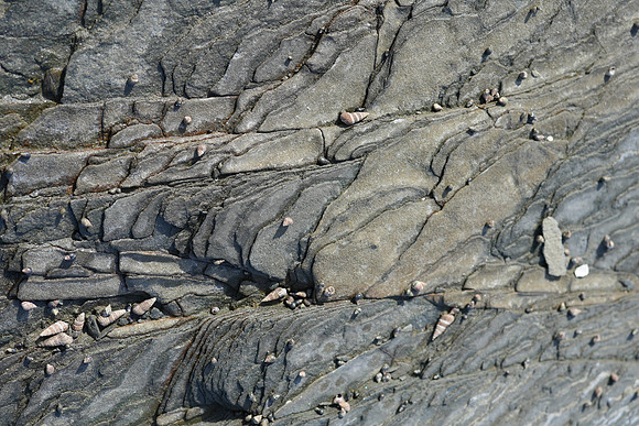 Rock Layers