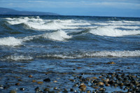 Waves