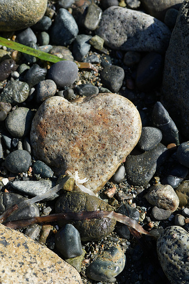 Rock of Hearts