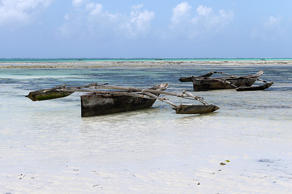 Traditional Fishing Dows