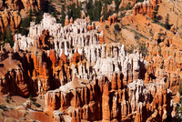 A Forest of Rock Pillars
