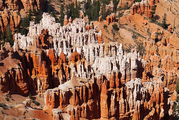 A Forest of Rock Pillars