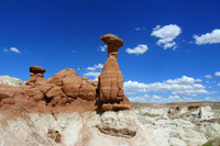 A Giant Toadstool