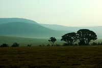 Morning Dawns on Ngorongoro
