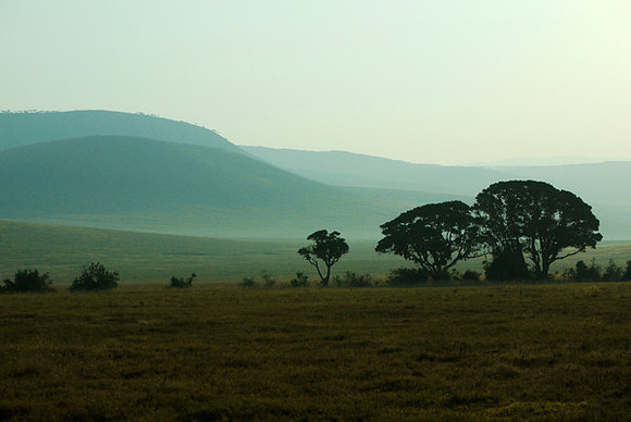 Morning Dawns on Ngorongoro