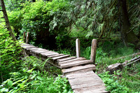 The Bridge
