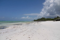 Zanzibar Beach