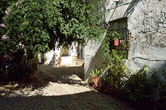 A Hidden Garden