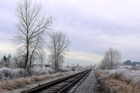 Frosty Tracks