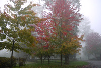 Early Autumn Morning