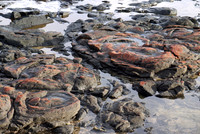 Rocky Beach