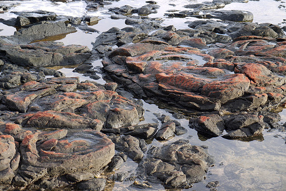 Rocky Beach