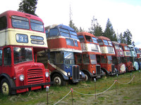 The Old Bus Graveyard