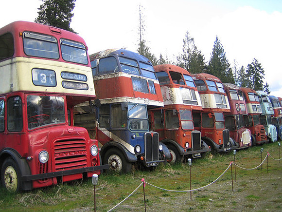 The Old Bus Graveyard