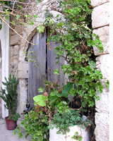 Vines Hiding the Doorway