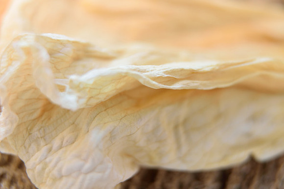 Yellow Veins