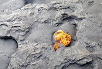 A Heart in the Sand