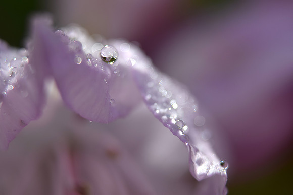 Droplets